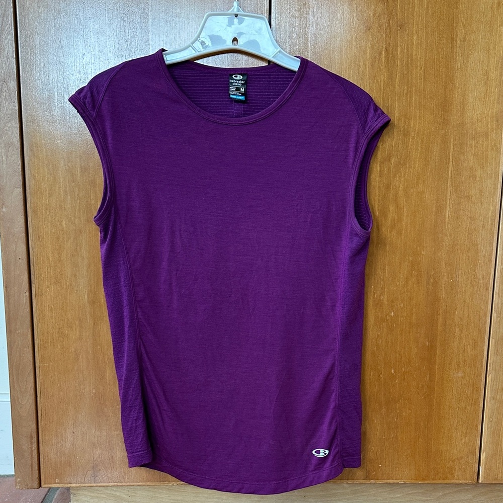 Icebreaker Cool Lite Purple Tee